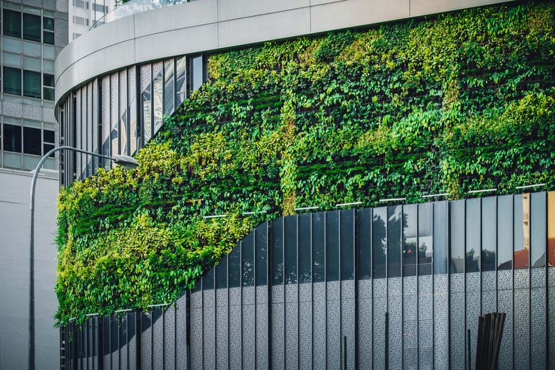Sustainability Conferences - Conference and Events 2022 - Innovation Forum